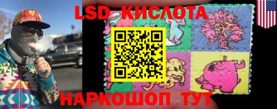 прущие грибы Новодвинск