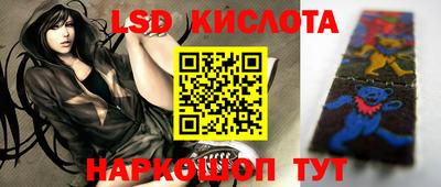 сатива Новозыбков