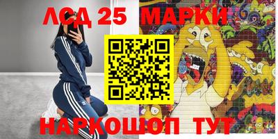 сатива Новозыбков