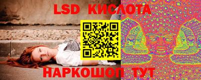 прущие грибы Новодвинск