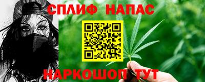 сатива Новозыбков