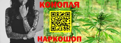 прущие грибы Новодвинск