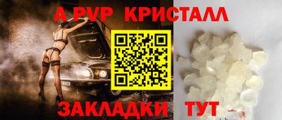 сатива Новозыбков