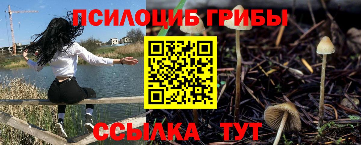 Псилоцибиновые грибы ЛСД Стрежевой